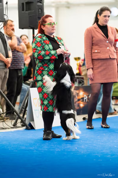 For Pets Cup – DOSPĚLÝ