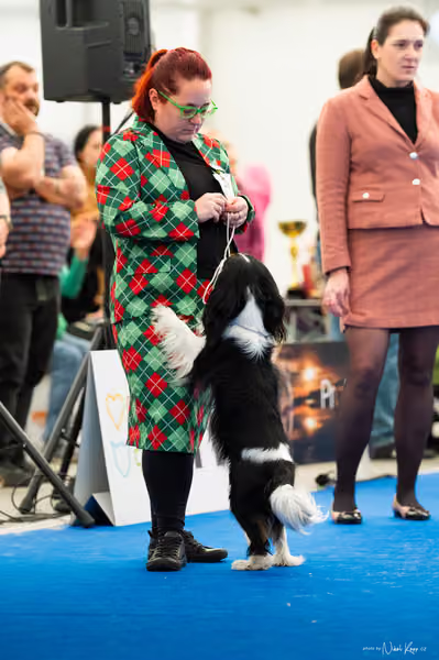 For Pets Cup – DOSPĚLÝ