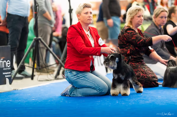 For Pets Cup – DOSPĚLÝ