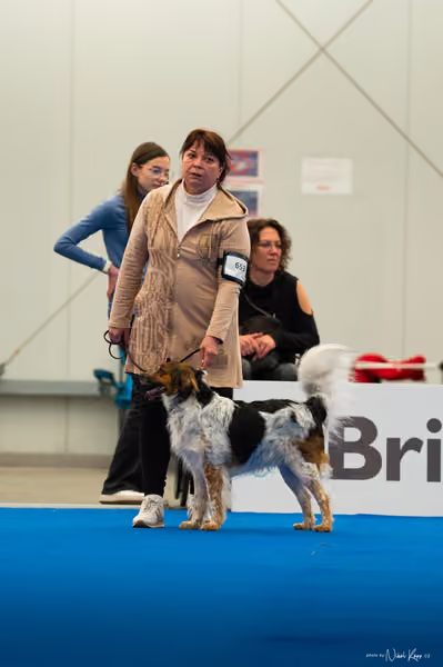 For Pets Cup – DOSPĚLÝ
