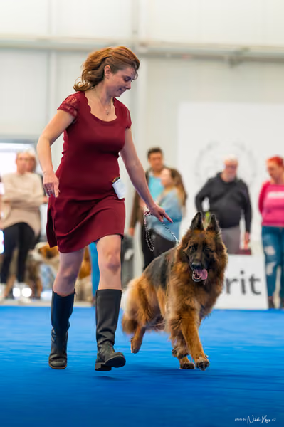 For Pets Cup – DOSPĚLÝ