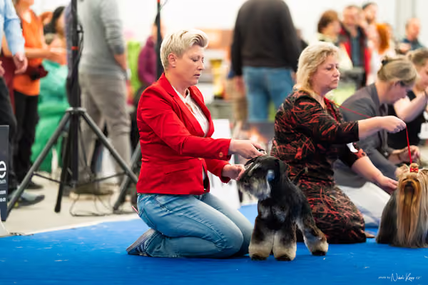 For Pets Cup – DOSPĚLÝ