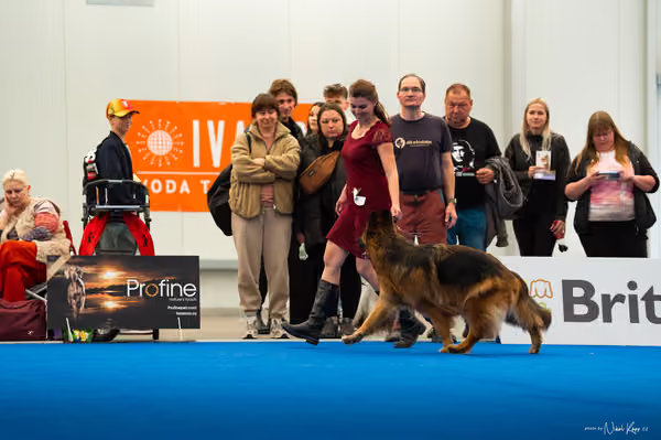 For Pets Cup – DOSPĚLÝ