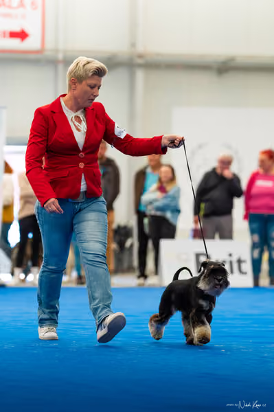 For Pets Cup – DOSPĚLÝ