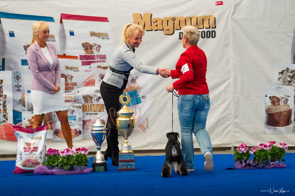 For Pets Cup – DOSPĚLÝ