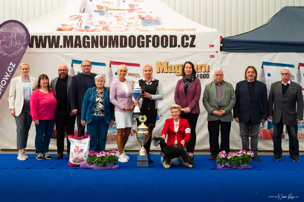 For Pets Cup – DOSPĚLÝ