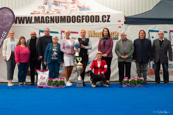 For Pets Cup – DOSPĚLÝ