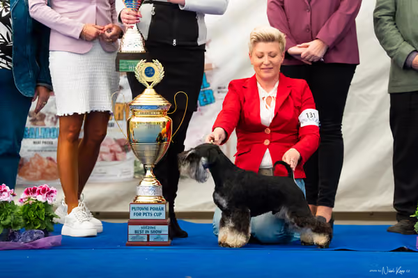 For Pets Cup – DOSPĚLÝ