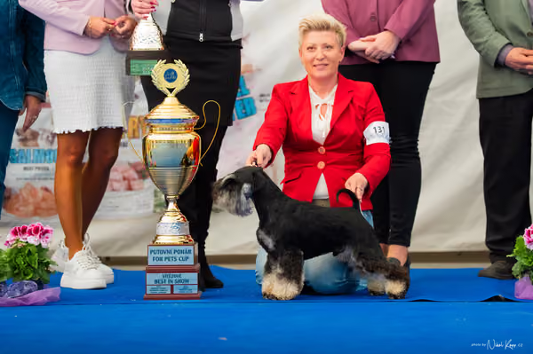 For Pets Cup – DOSPĚLÝ