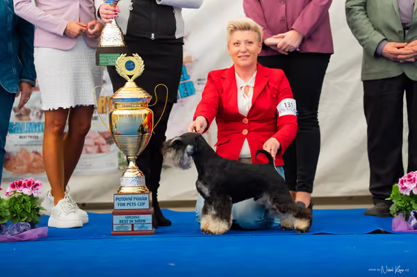 For Pets Cup – DOSPĚLÝ
