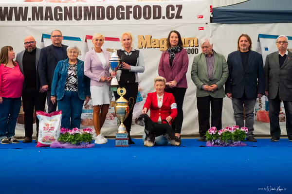 For Pets Cup – DOSPĚLÝ