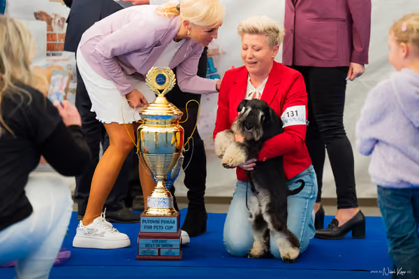 For Pets Cup – DOSPĚLÝ