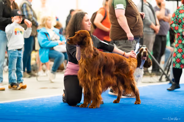 For Pets Cup – DOSPĚLÝ