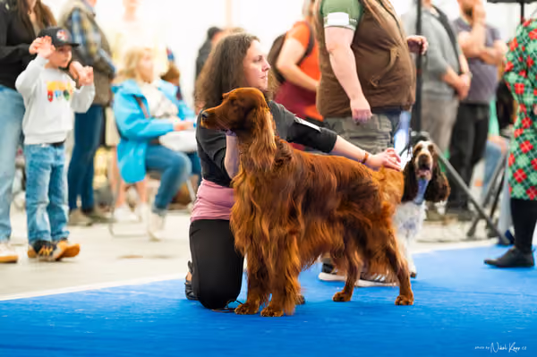 For Pets Cup – DOSPĚLÝ