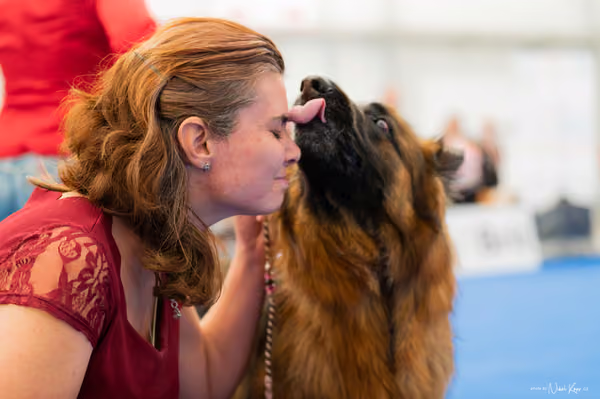 For Pets Cup – DOSPĚLÝ