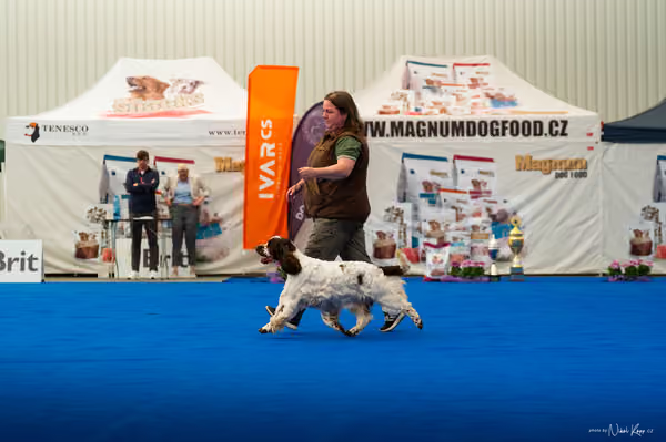 For Pets Cup – DOSPĚLÝ