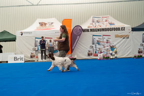 For Pets Cup – DOSPĚLÝ
