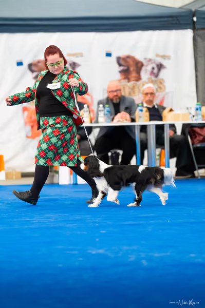 For Pets Cup – DOSPĚLÝ