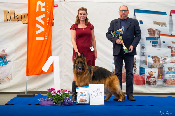 For Pets Cup – DOSPĚLÝ