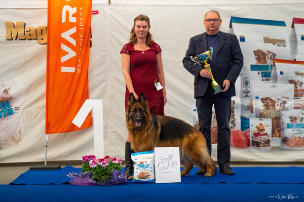 For Pets Cup – DOSPĚLÝ