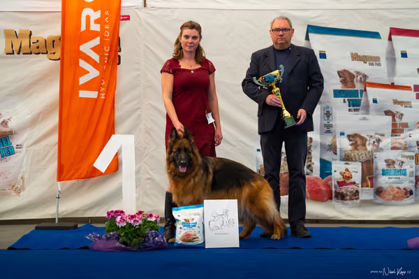 For Pets Cup – DOSPĚLÝ