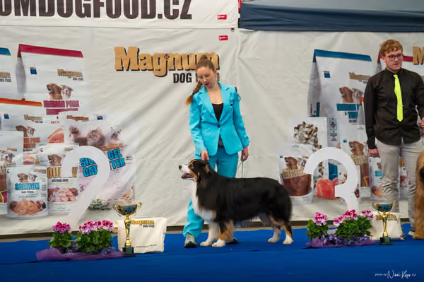 For Pets Cup – DOSPĚLÝ