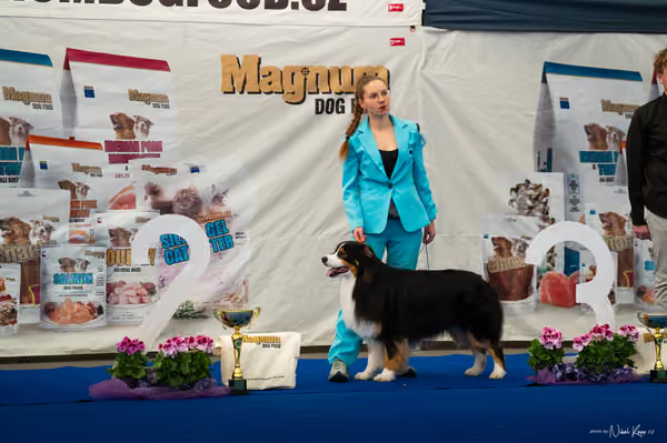For Pets Cup – DOSPĚLÝ