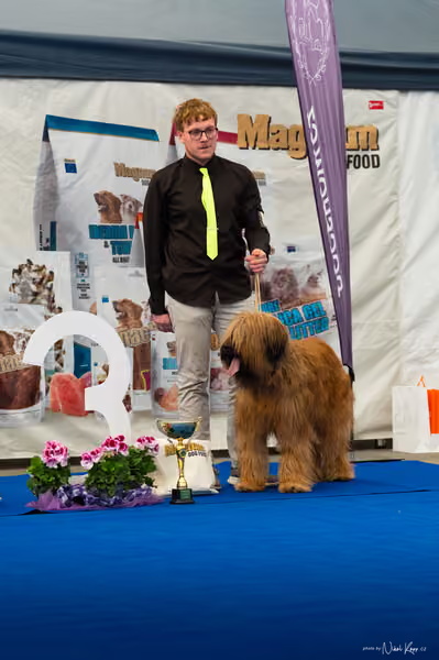 For Pets Cup – DOSPĚLÝ
