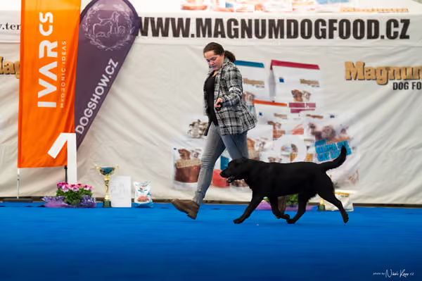 For Pets Cup – DOSPĚLÝ