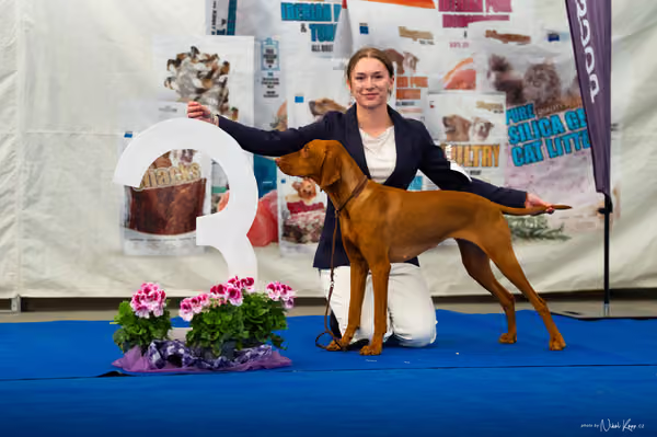 For Pets Cup – DOSPĚLÝ