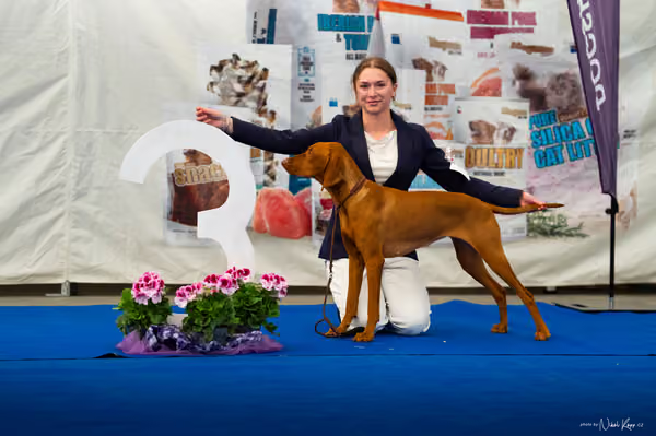 For Pets Cup – DOSPĚLÝ