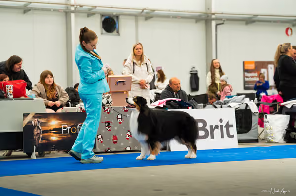 For Pets Cup — DSC00038