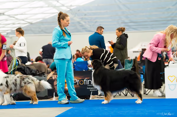 For Pets Cup — DSC00047