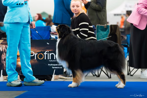 For Pets Cup — DSC00048