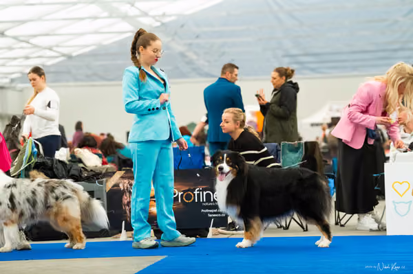 For Pets Cup — DSC00049