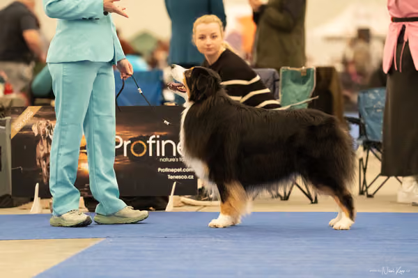 For Pets Cup — DSC00052