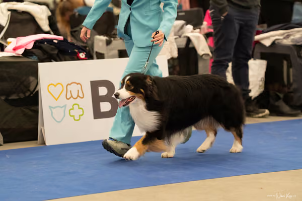 For Pets Cup — DSC00054