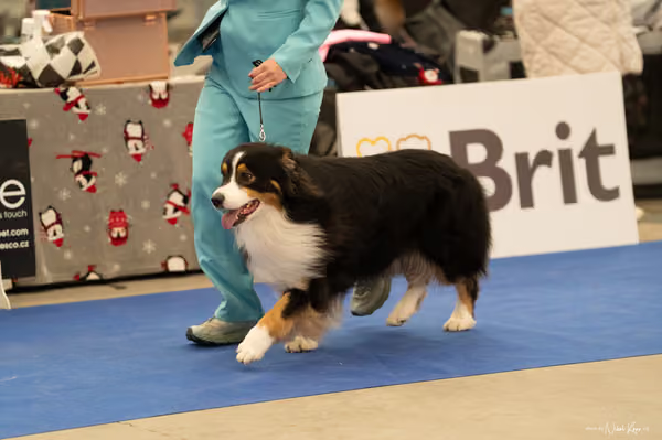 For Pets Cup — DSC00056