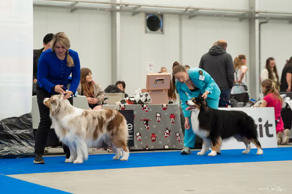 For Pets Cup — DSC00074