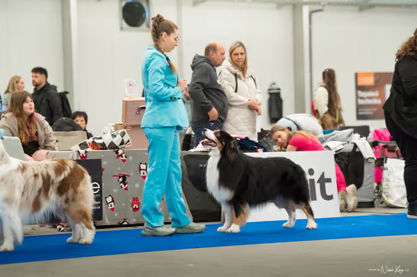 For Pets Cup — DSC00077