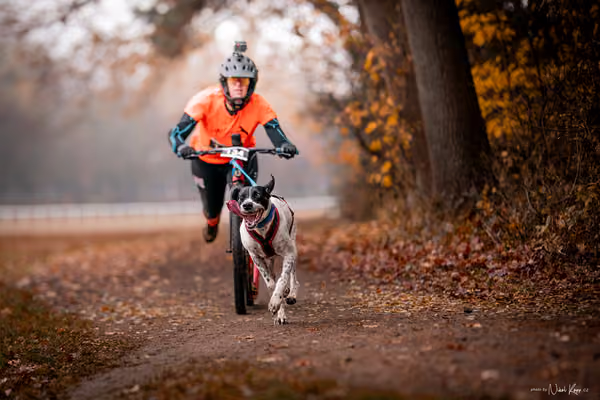 ICF WORLD CHAMPIONSHIP — SUNDAY – SCOOTER