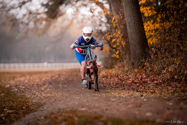 ICF WORLD CHAMPIONSHIP — SUNDAY – SCOOTER