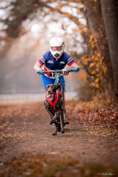 ICF WORLD CHAMPIONSHIP — SUNDAY – SCOOTER