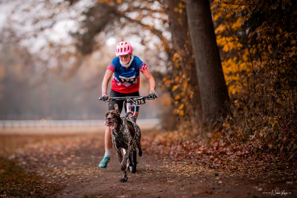 ICF WORLD CHAMPIONSHIP — SUNDAY – SCOOTER