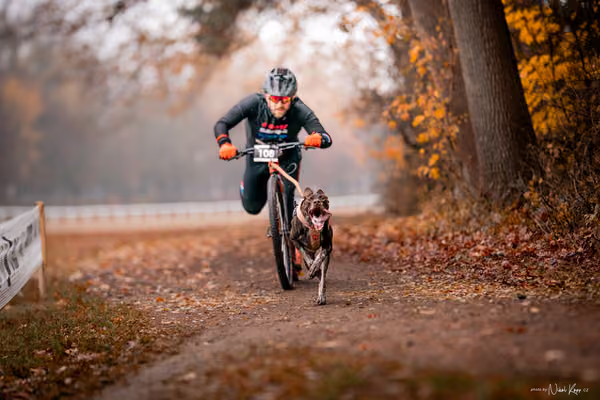 ICF WORLD CHAMPIONSHIP — SUNDAY – SCOOTER