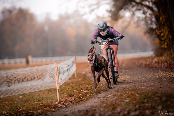 ICF WORLD CHAMPIONSHIP — SUNDAY – SCOOTER