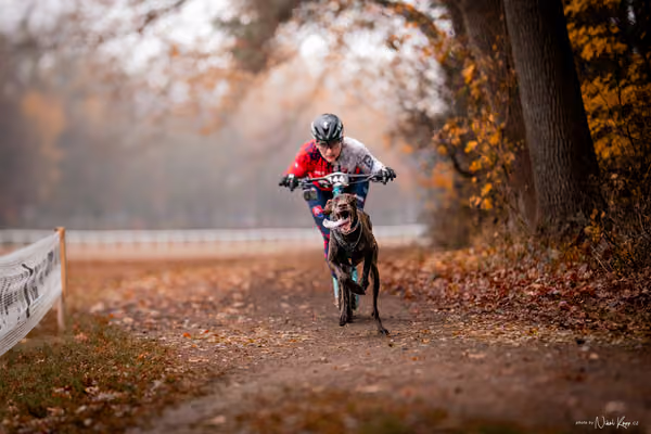 ICF WORLD CHAMPIONSHIP — SUNDAY – SCOOTER