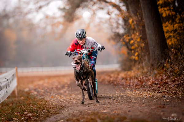 ICF WORLD CHAMPIONSHIP — SUNDAY – SCOOTER