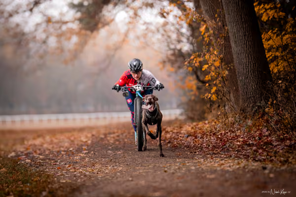 ICF WORLD CHAMPIONSHIP — SUNDAY – SCOOTER