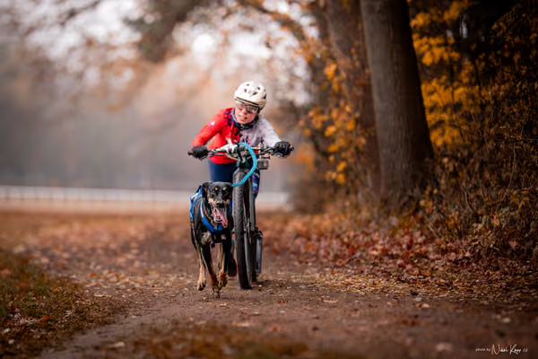 ICF WORLD CHAMPIONSHIP — SUNDAY – SCOOTER